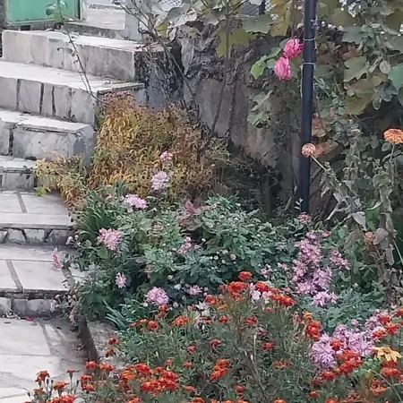за гости дима Holiday home Malko Turnovo