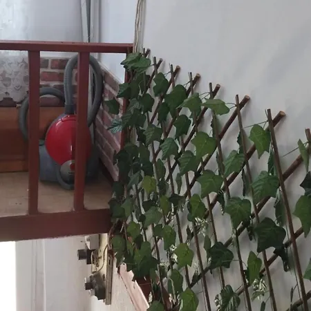 за гости дима Holiday home